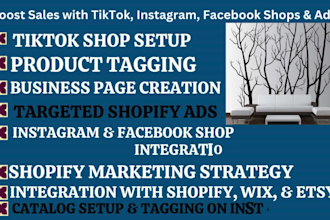 set up facebook shop, tiktok, instagram shop, fix meta pixel, shopify and etsy