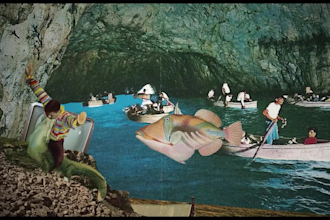 make a animated collage video  for you projects or mv