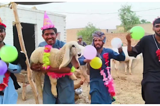 wish happy birthday video or african happy birthday video