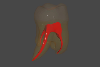 create 3d medical animation 3d anatomy orthopedic animation dental animation