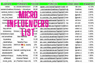 find best list of instagram micro influencers for you