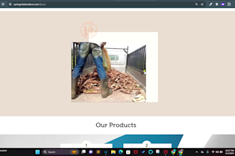 design a website either wix, wordpress or with any website hosting