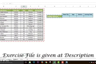 be your perfect virtual assistant for data entry