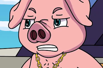 meme art, funny crypto meme coin video, solana meme, ponk pepe style, wojak meme