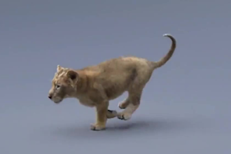 do realistic 3d animal animation, cgi animal modeling, cgi character design vfx