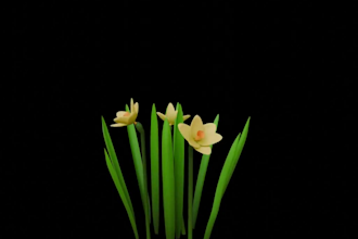 3d stylized icon for you
