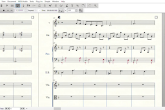 transcribe to score your compositions or the songs you need
