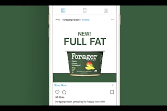 create a viral dropshipping and facebook video ad