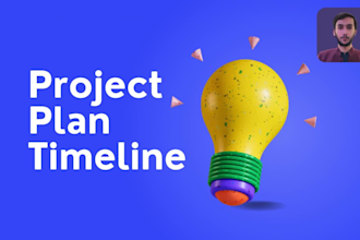 provide professional project plan timeline for your project