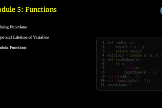 be your tutor 1 hour 3 dollar python,c,cpp,linux,calculus