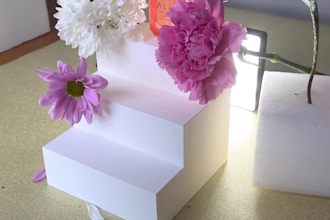 professional marketing ugc video ads for brands, company, products, services