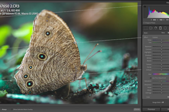 edit and retouch pictures in adobe lightroom