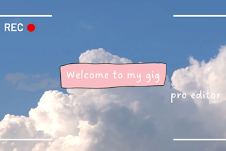 professional video editor for hire