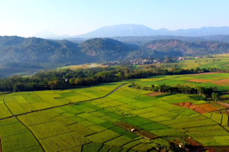 shoot drone videos of rural and plantation views