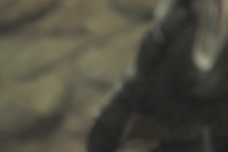 transform your story or doc with cinematic videography drone shots and more