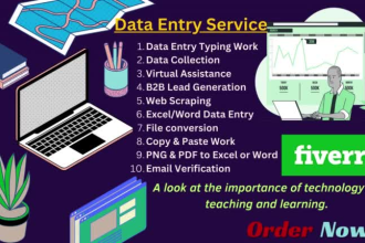 do data entry, convert pdf to excel, copy paste and typing