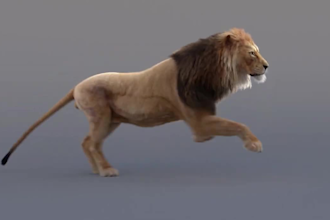 integrate photorealistic 3d animal animation, 3d animal modeling, 3d animal fur