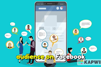 professionally set up and managed facebook and instagram ad campaigns