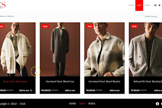 develop a wordpress website design with e commerce