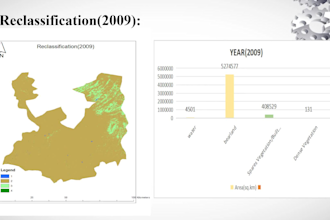 perform professional gis mapping and spatial analysis