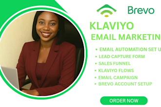 setup klaviyo email marketing, klaviyo and brevo flows