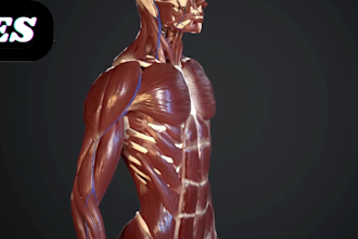 create medical 3d animation, 3d human body anatomy animation 3d medical video