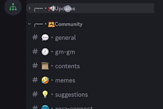 build a professional, fully customized discord server