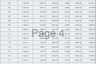 prepare debt amortization schedule