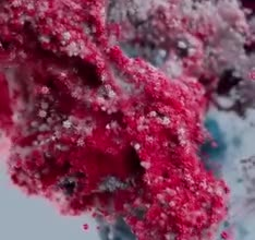 do 3d water simulation fluid particles product simulation 3d vfx fire explosion