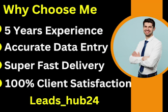 deliver accurate data entry, mining, collection and email list building