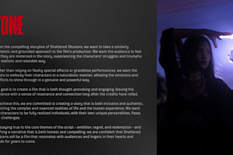 create a professional TV or film pitch deck  from canva