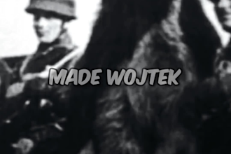 create original niche based shorts, tiktoks and reels