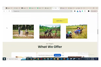 build a mobile responsive wordpress website design