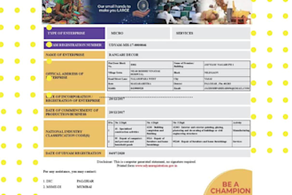 help you get a pan card and gst registration in india