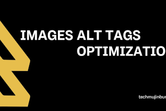 do complete on page SEO optimization with yoast or rankmath