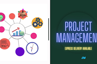 be your remotely dedicated project manager
