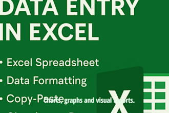 do accurate excel data entry, cleaning, and formatting