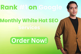 do complete monthly seo service for your website