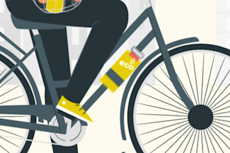 create a 2d animated explainer video or motion graphics