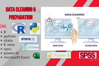 do data cleaning, preparation in microsoft excel, power bi, spss, python, r