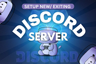 make any custom discord server setup within 12 hours
