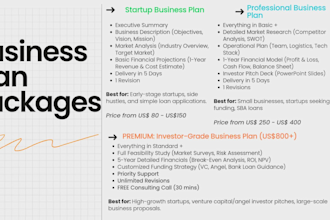 write a professional business plan with financials MBA