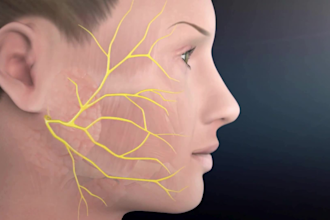 create 3d medical animations, surgical videos, explainer video, motion graphics
