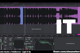 do custom audio editing services