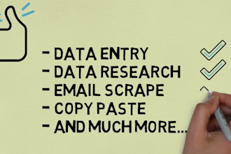 do excel data entry, copy paste, pdf conversion
