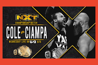 design pro wrestling poster, match card, graphics for you