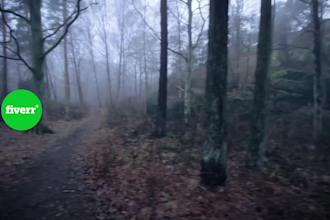 edit your documentaries professionally