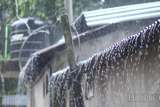 provide real recorded tin roof rain videos for your youtube monetization