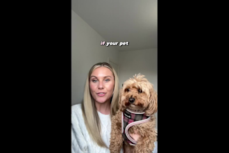 create pet or dog related ugc content for tiktok and reels