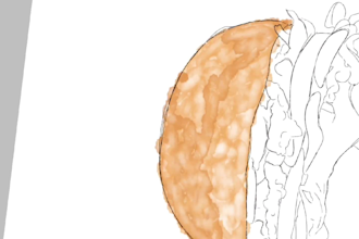 draw watercolor food for your merchandise menu